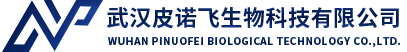 武漢皮諾飛生物科技有限公司