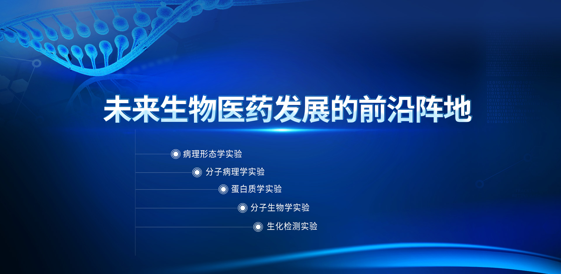 武漢市皮諾飛生物科技有限公司
