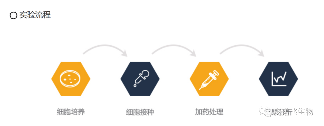 血管形成實(shí)驗(yàn)