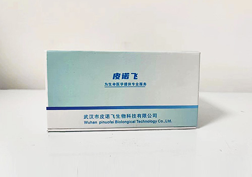 TT (人甲狀腺導(dǎo)管癌細(xì)胞) (STR鑒定正確)