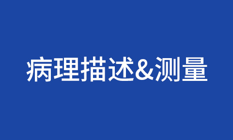 病理描述&測量