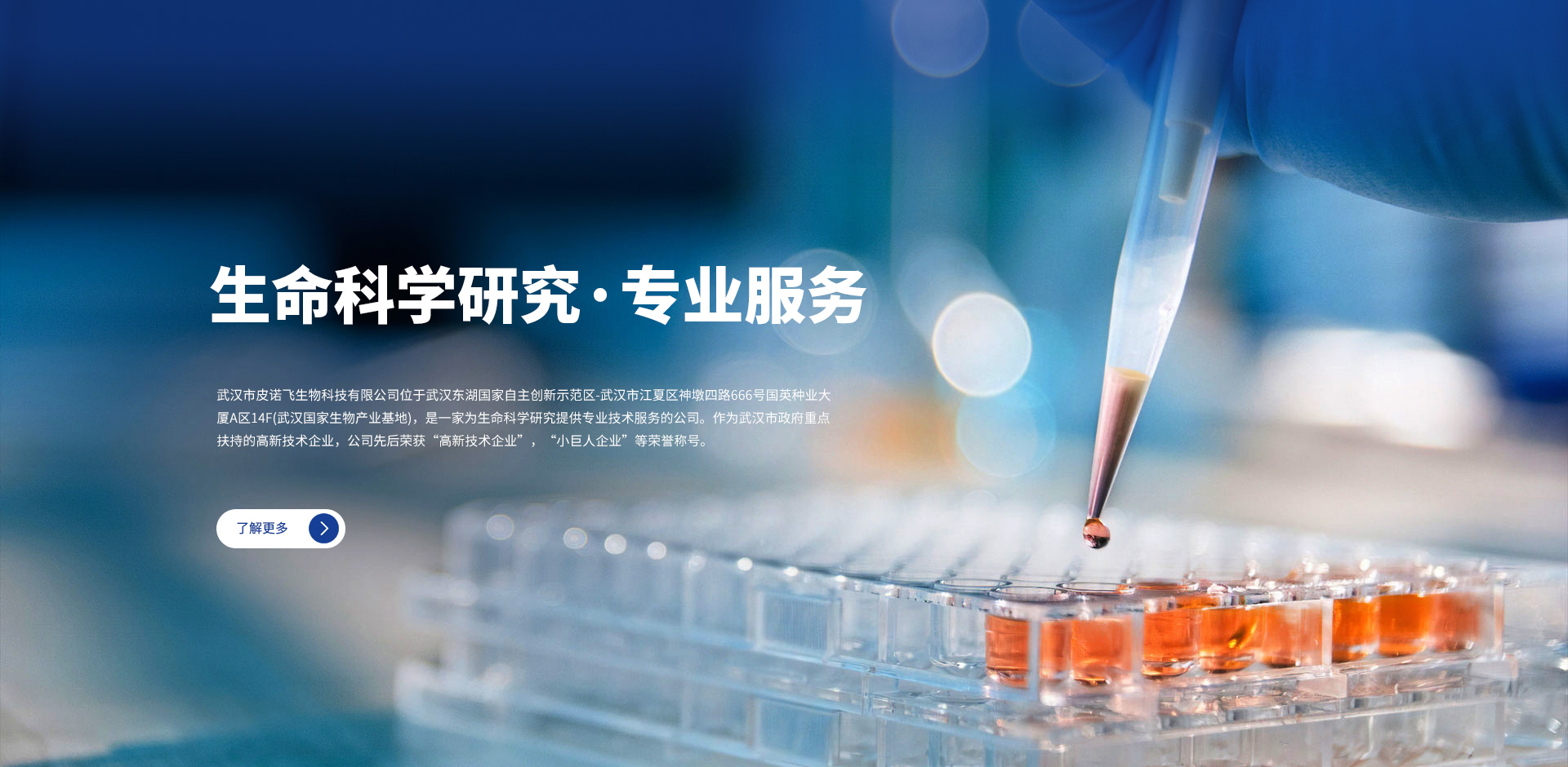 武漢市皮諾飛生物科技有限公司