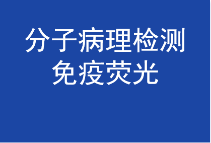 分子病理檢測 -免疫熒光