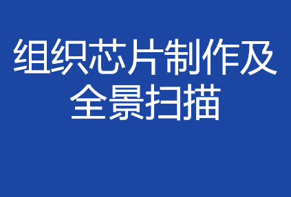 組織芯片制作及全景掃描