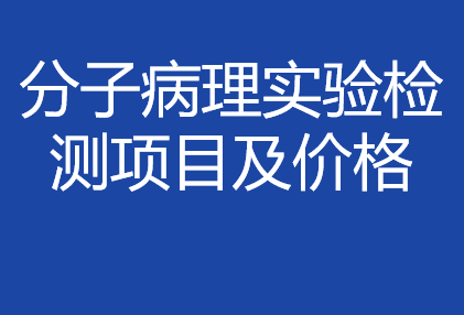 分子病理實(shí)驗(yàn)檢測項(xiàng)目&價格