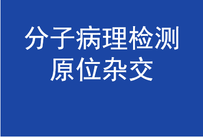 分子病理檢測原位雜交