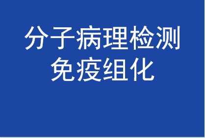 分子病理檢測-免疫組化