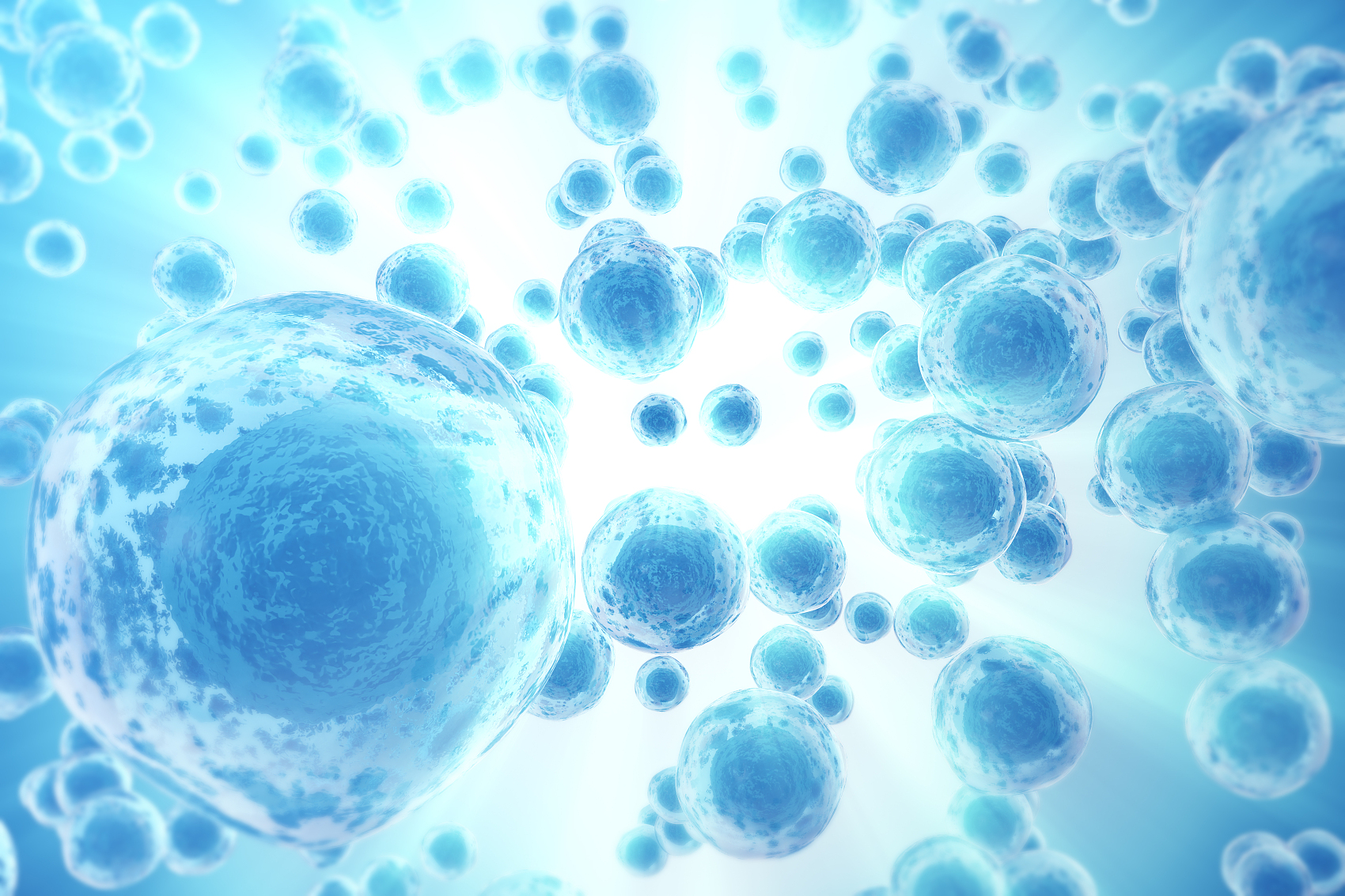 蛋白質(zhì)免疫檢測(cè)技術(shù)服務(wù)PCR array 芯片檢測(cè)