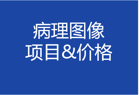 病理圖像項(xiàng)目&價(jià)格