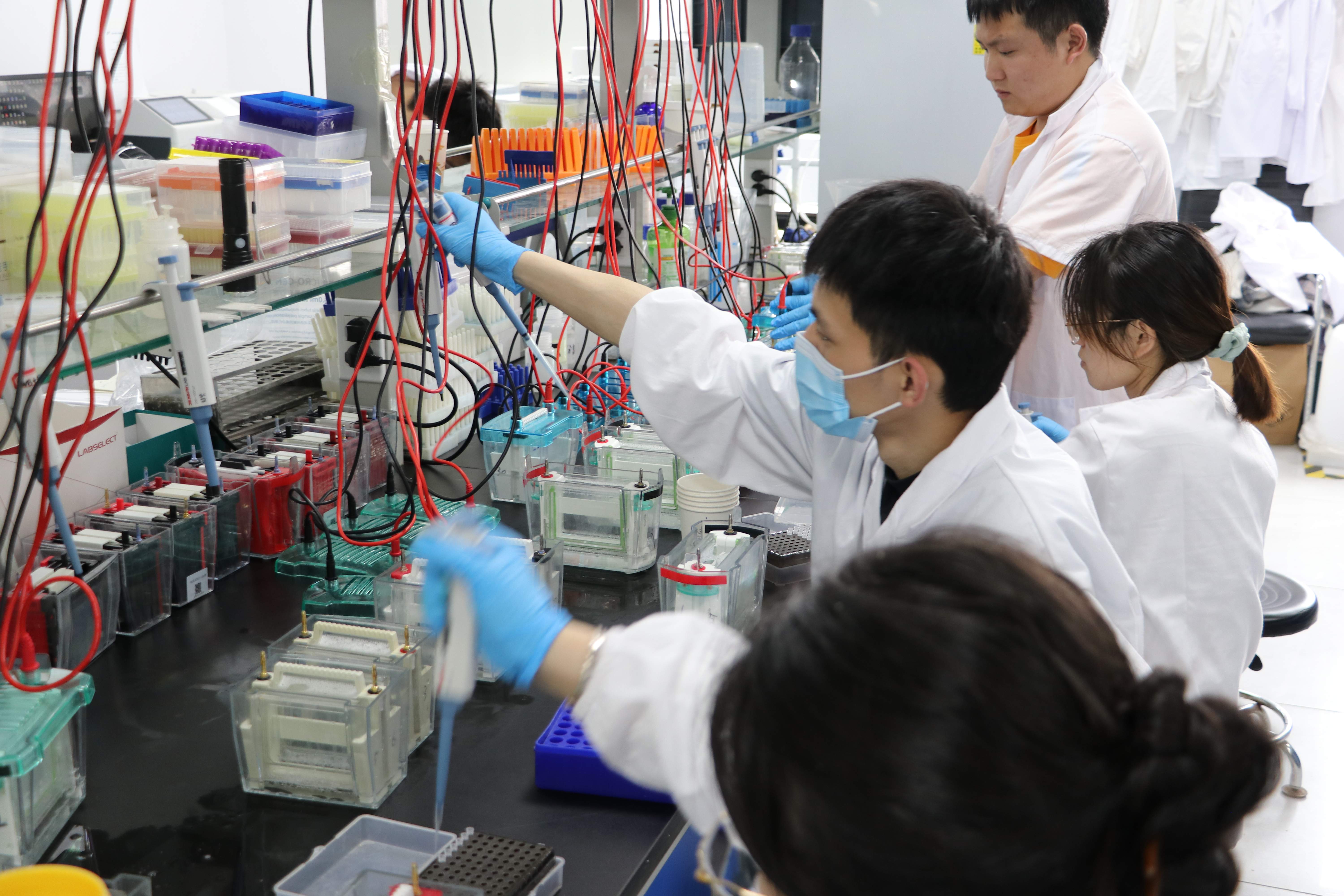 免疫印跡（Western Blot）的常見問題（FAQ）