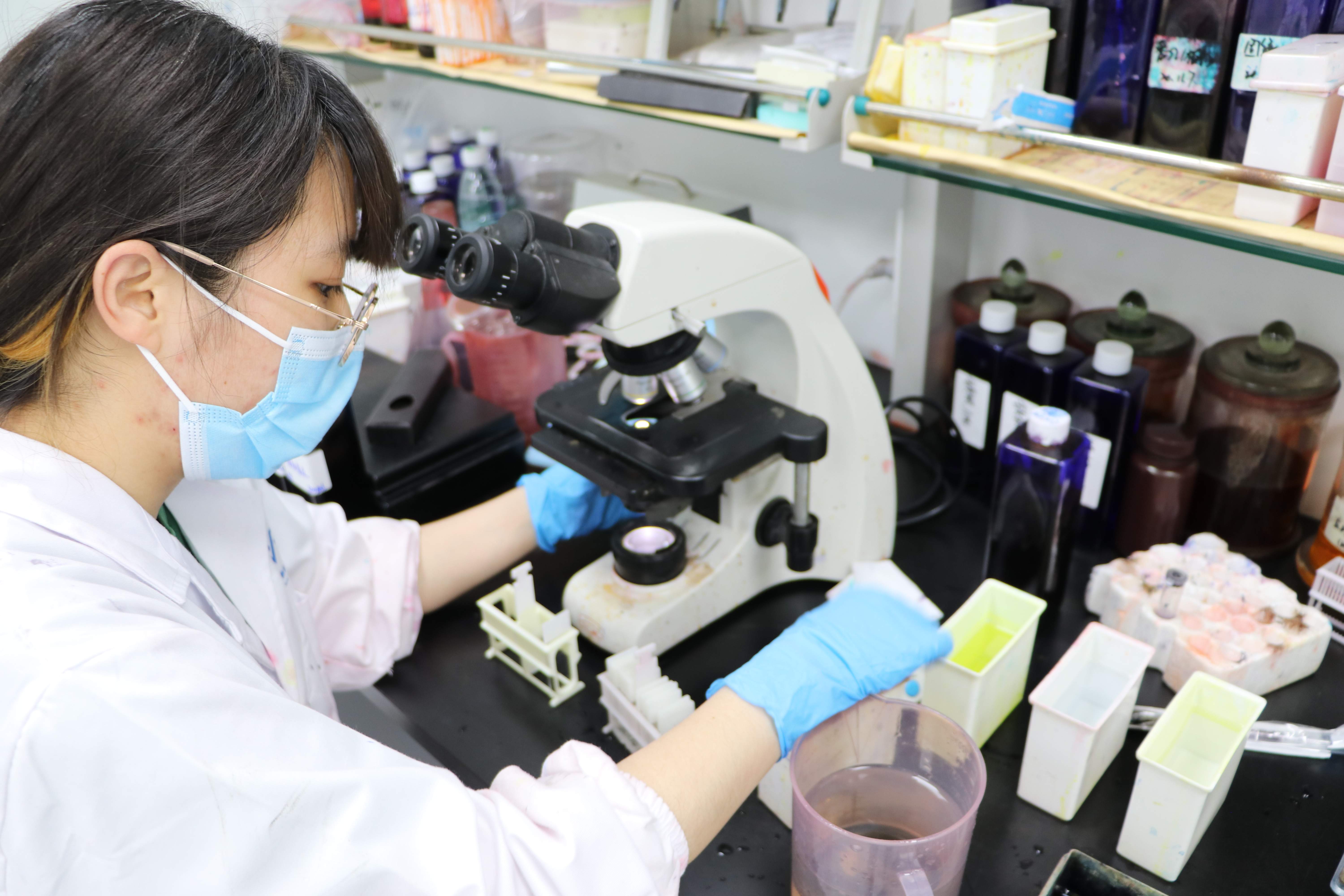 HE染色和免疫組化的區(qū)別
