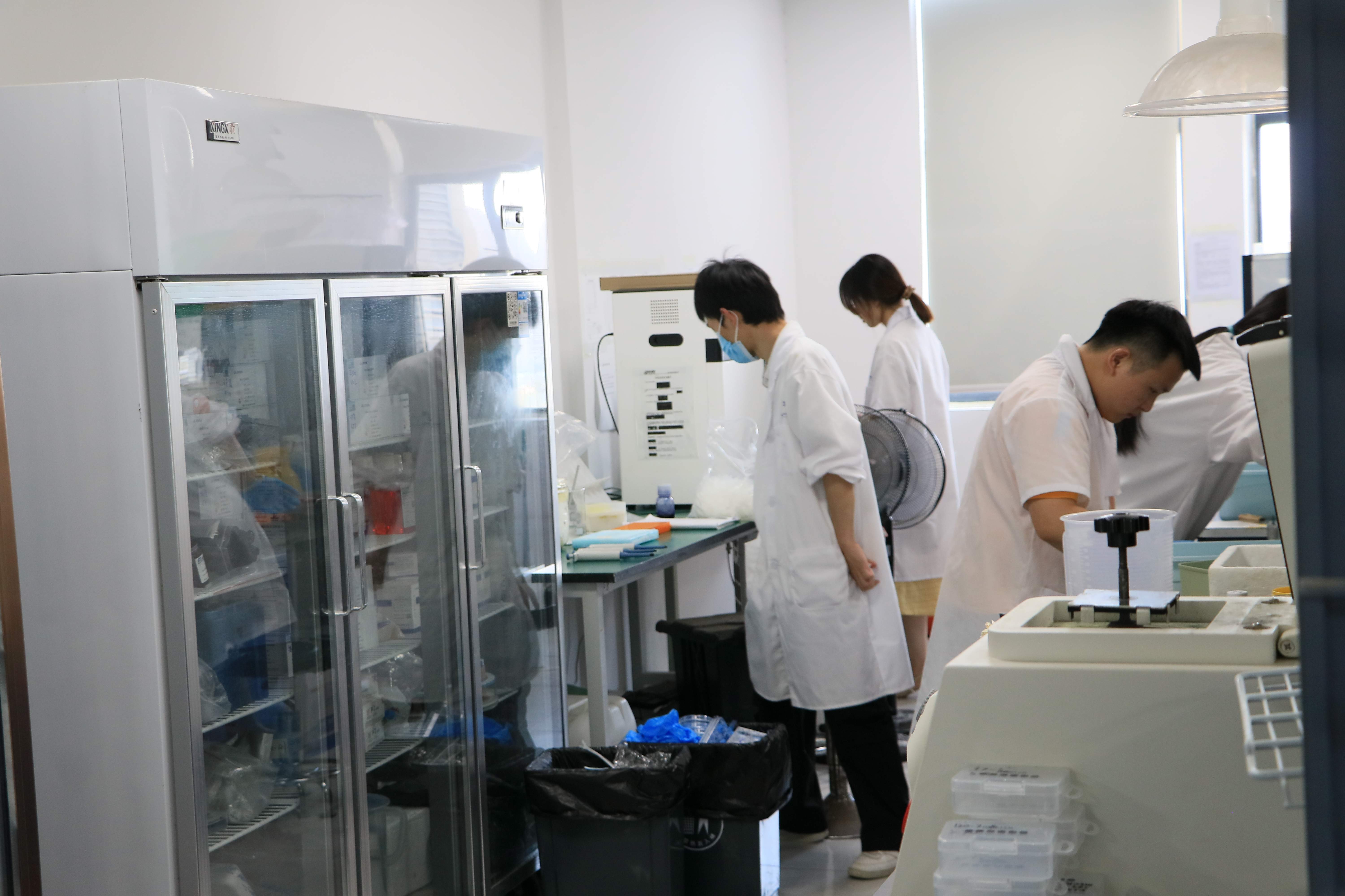 Western Blot 檢測步驟簡易指南