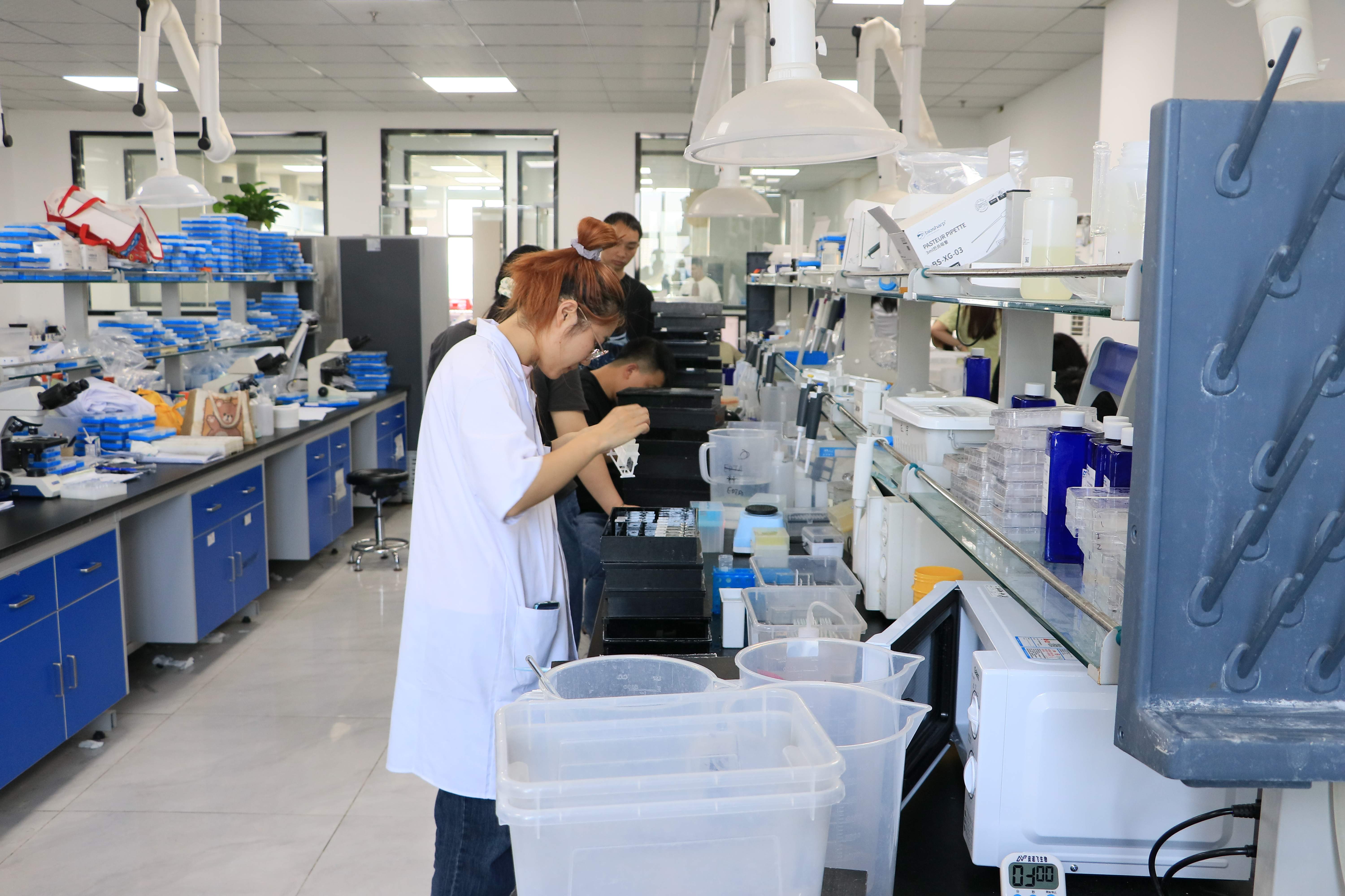Western Blot 檢測步驟簡易指南