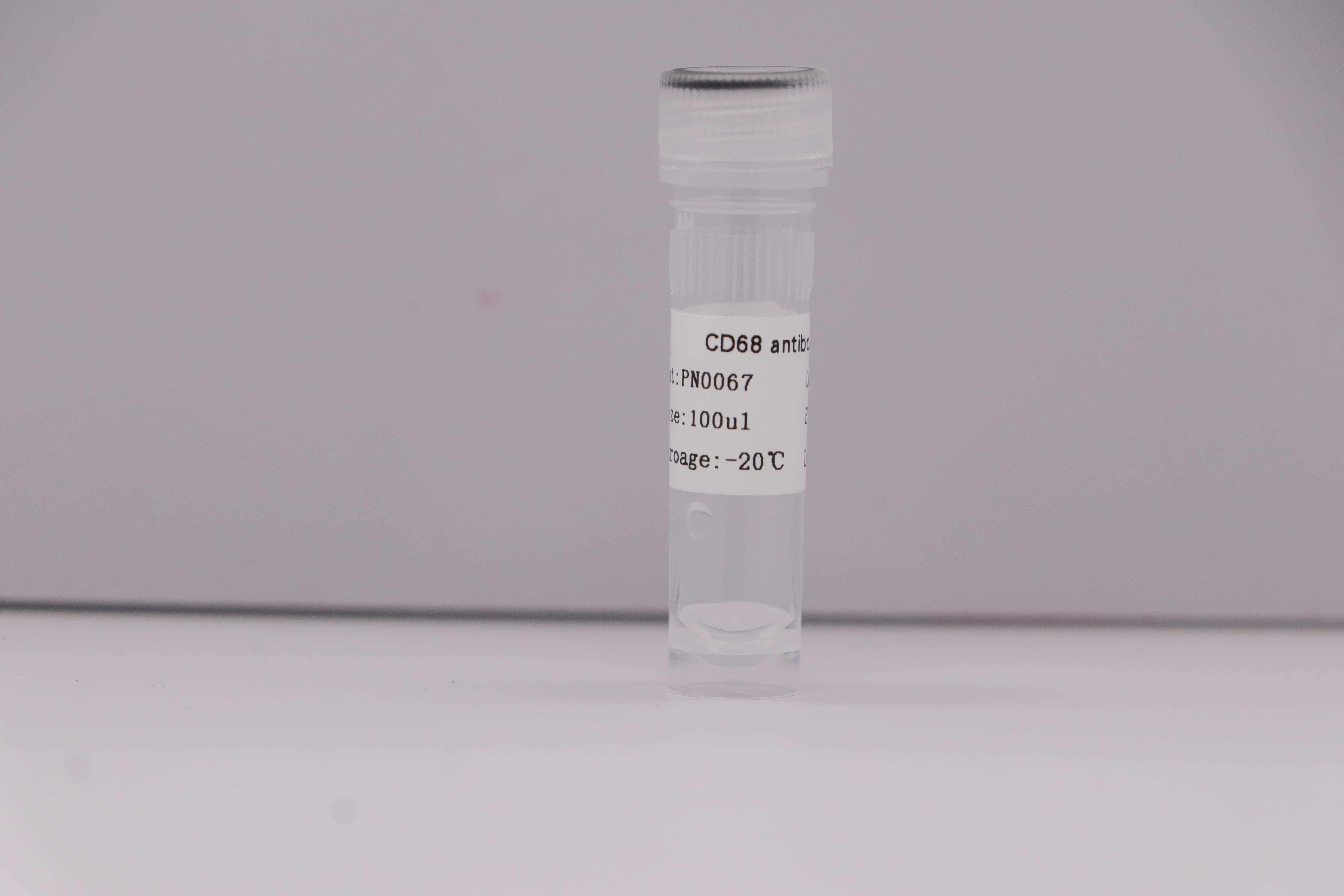 Anti- CD68 Rabbit pAb