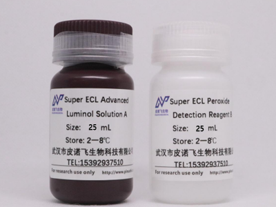 ECL化學發(fā)光超敏顯色試劑盒