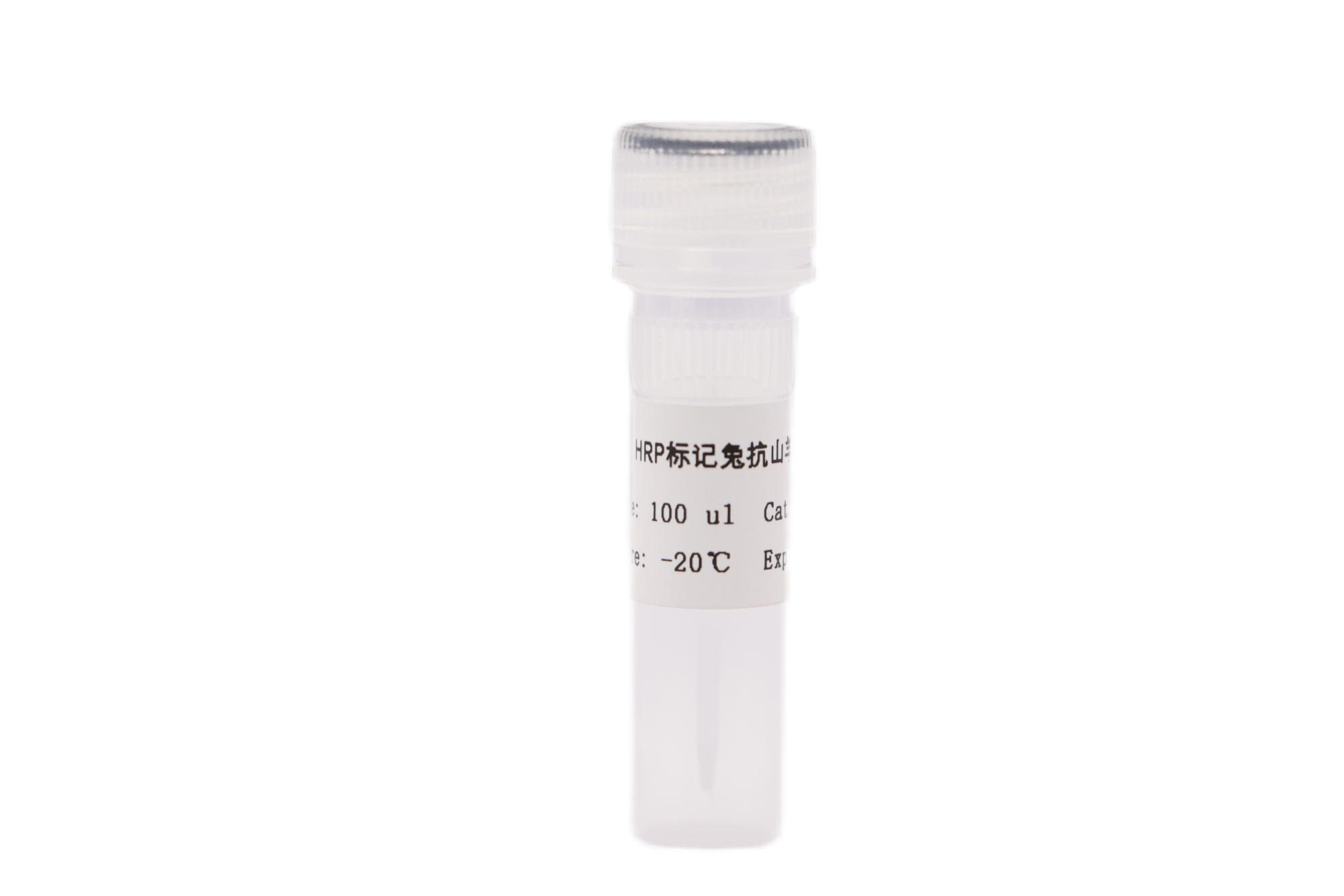 HRP標(biāo)記兔抗山羊IgG