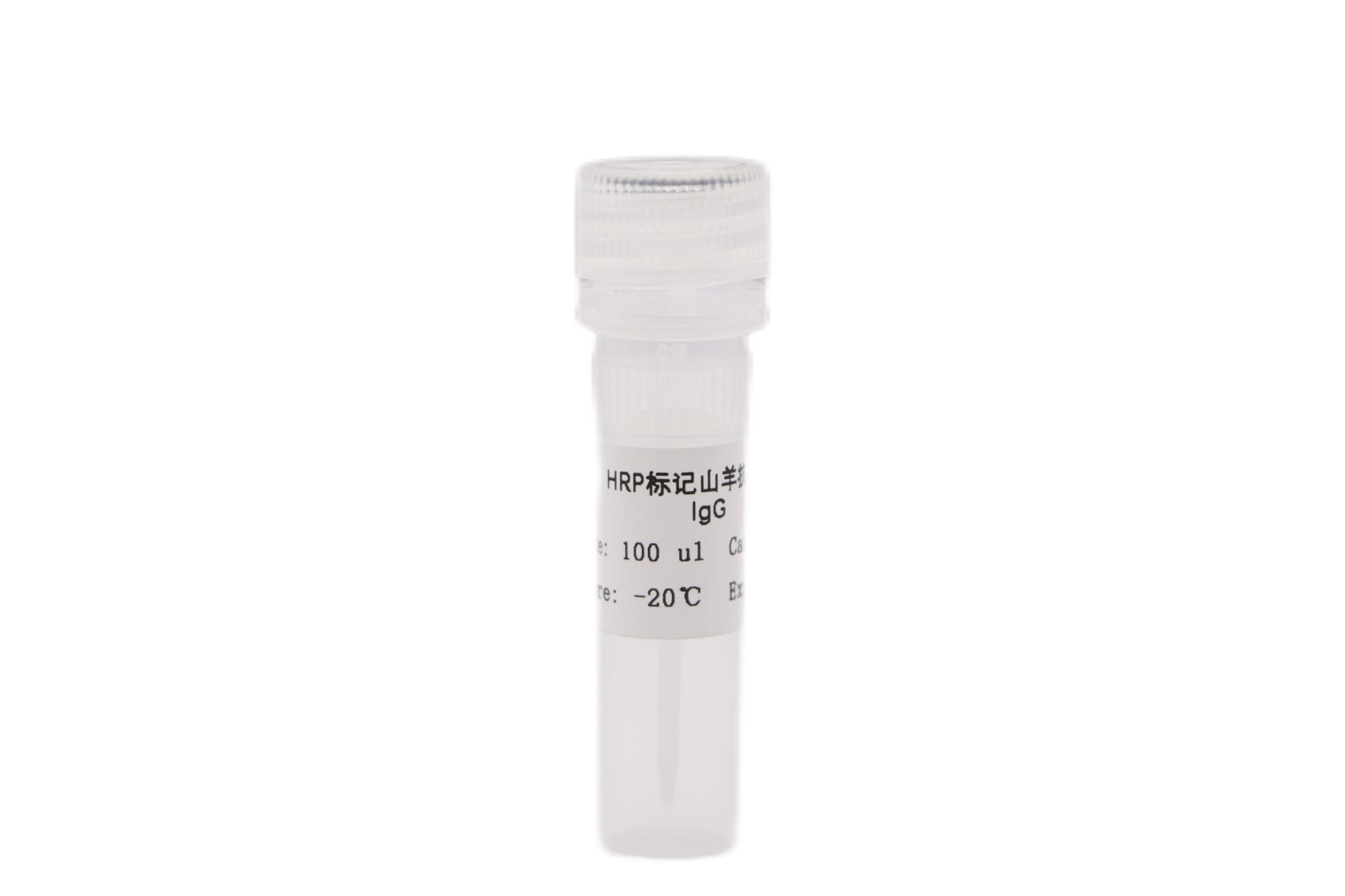 HRP標(biāo)記山羊抗小鼠IgG