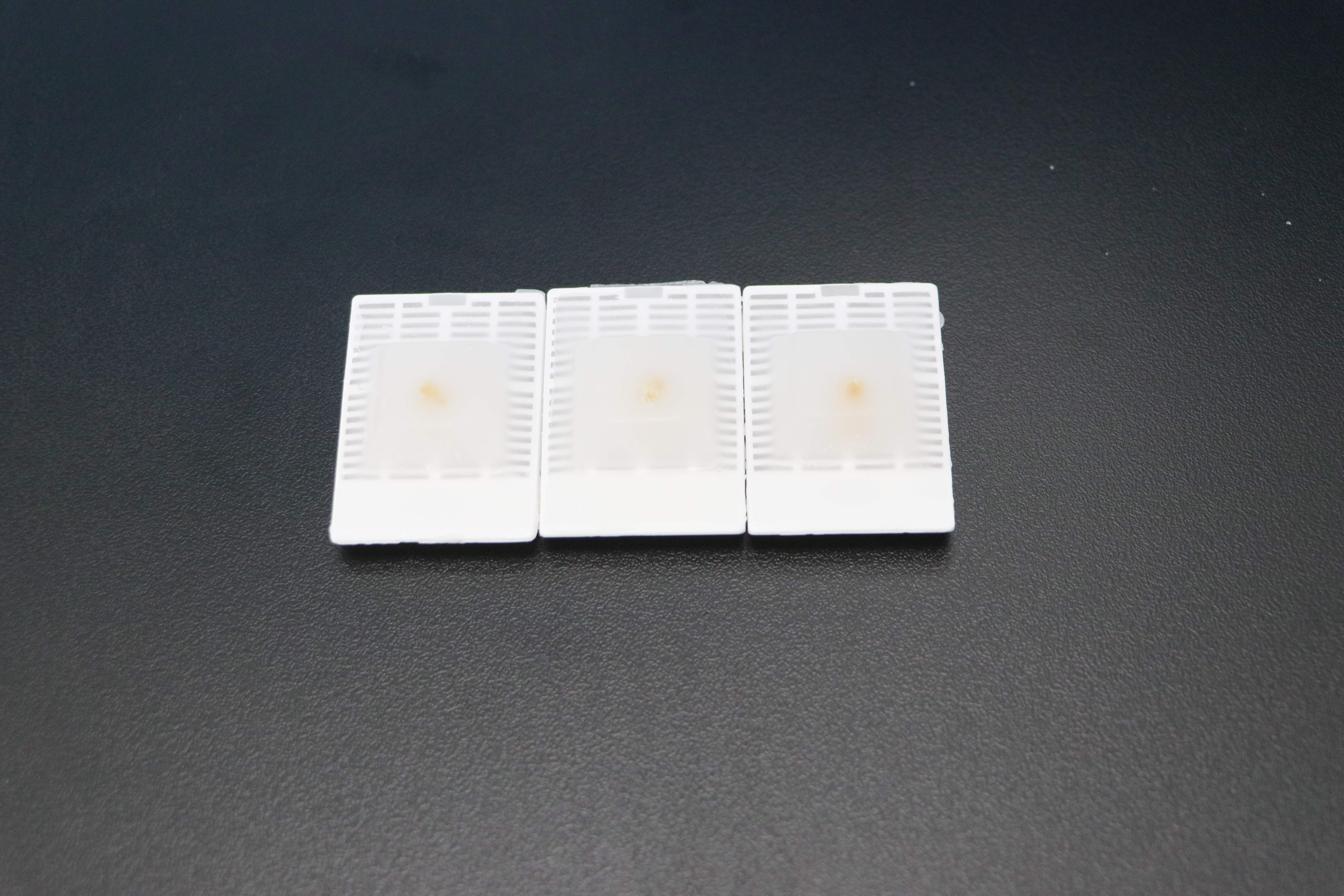 探索組織包埋切片方法的奧秘：精準研究的關鍵步驟