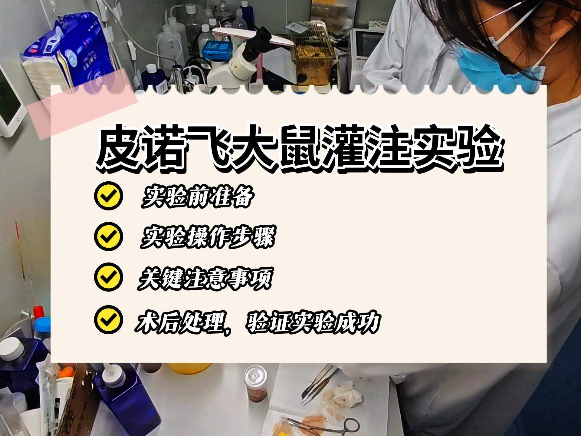 皮諾飛生物動物模型實驗-小紅書大鼠灌注取材原視頻