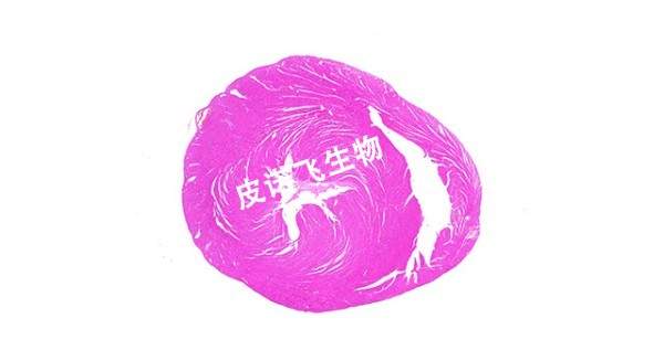 心臟橫_HE