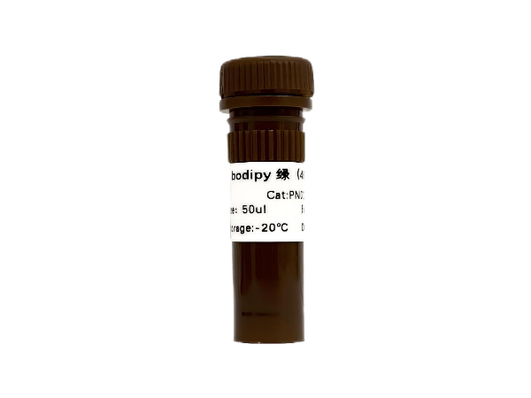 Bodipy綠（493/503）中性脂滴染料