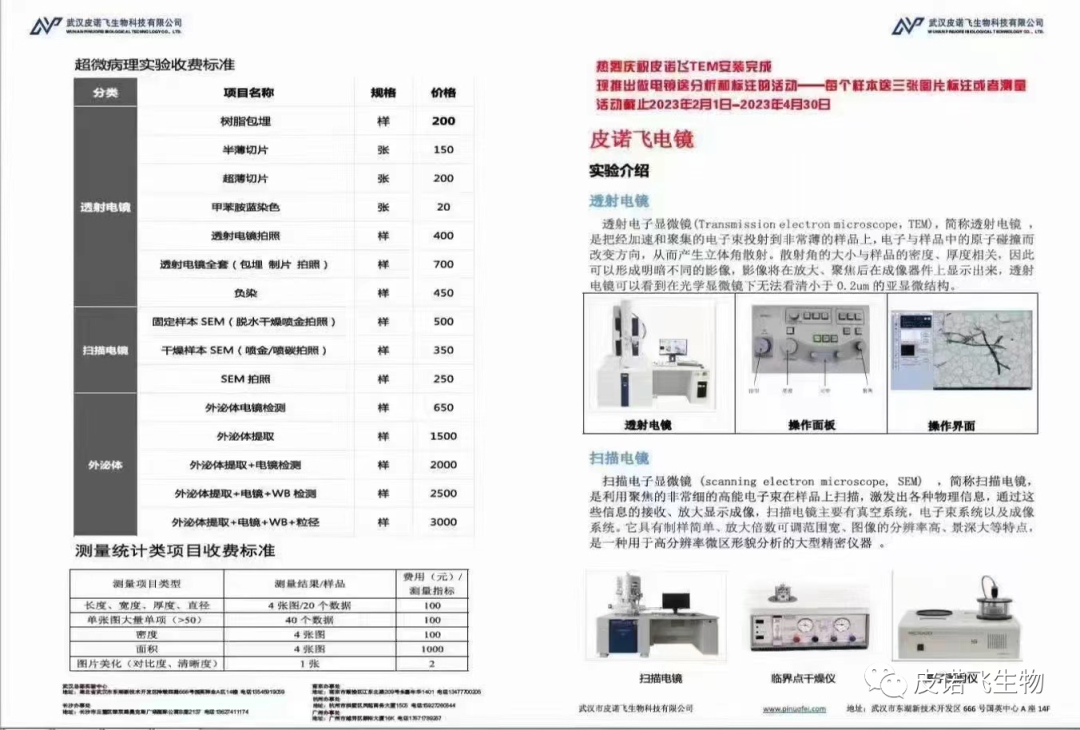 透射電鏡活動