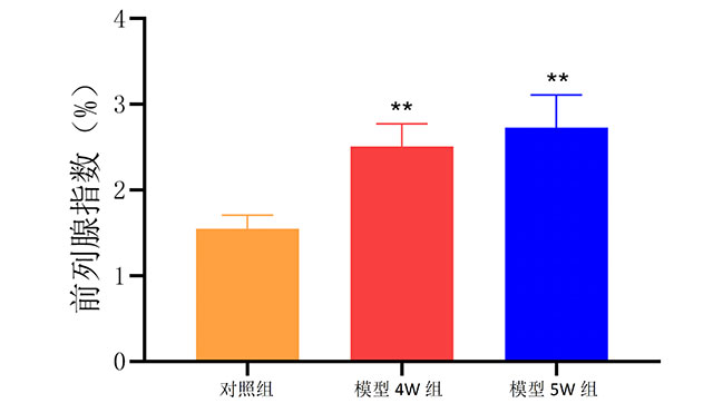 睪丸摘除聯(lián)合丙酸睪酮構(gòu)建前列腺增生模型