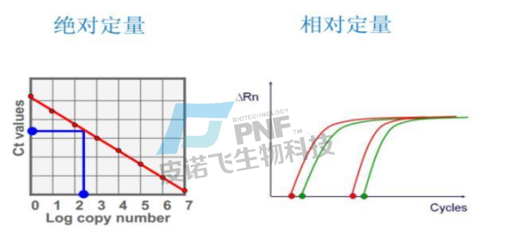 企業(yè)微信截圖_17177496337642.png