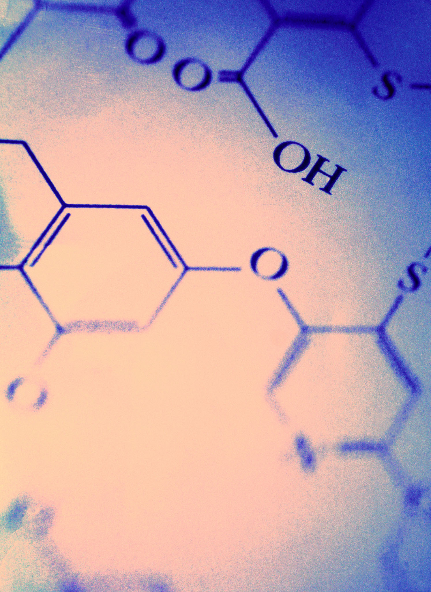 雙熒光素酶步驟：詳細解析使用技巧