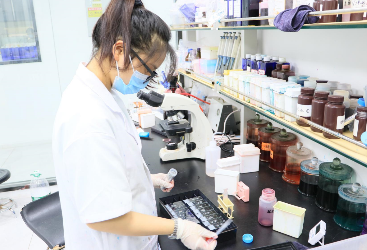 病理常規(guī)染色與特殊染色——揭開顯微鏡下的秘密