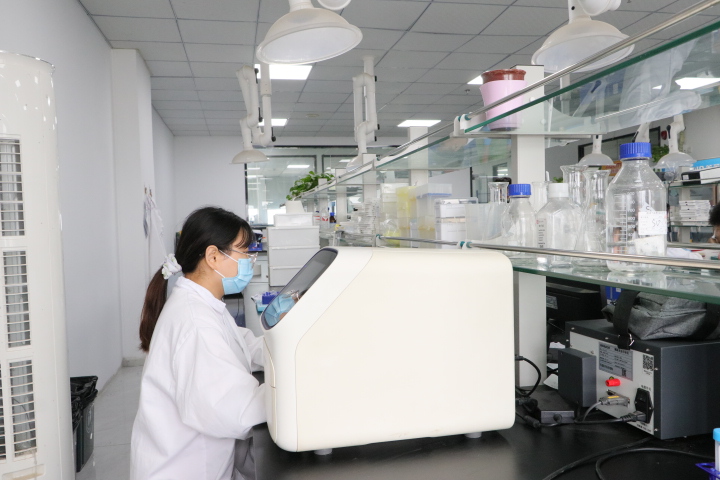 一流HE染色技術(shù)公司推薦：選擇最佳合作伙伴的實(shí)用指南