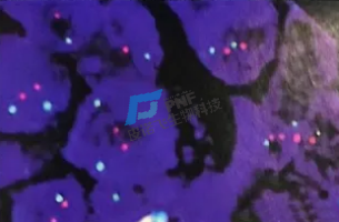 企業(yè)微信截圖_17447687488587副本.png
