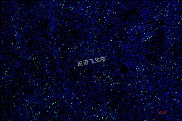 EDU綠(2)(1).png